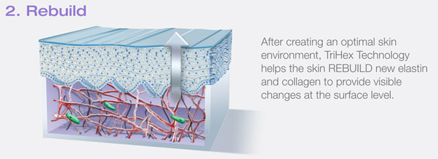 After creating an optimal skin environment, TriHex Technology helps the skin rebuild new  elastin and collagen to provide visible changes at the surface level.
