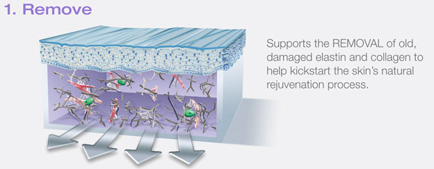 Supports the removal of old, damaged elastin and collagen to help kickstart the skin's natural revuvenation process.