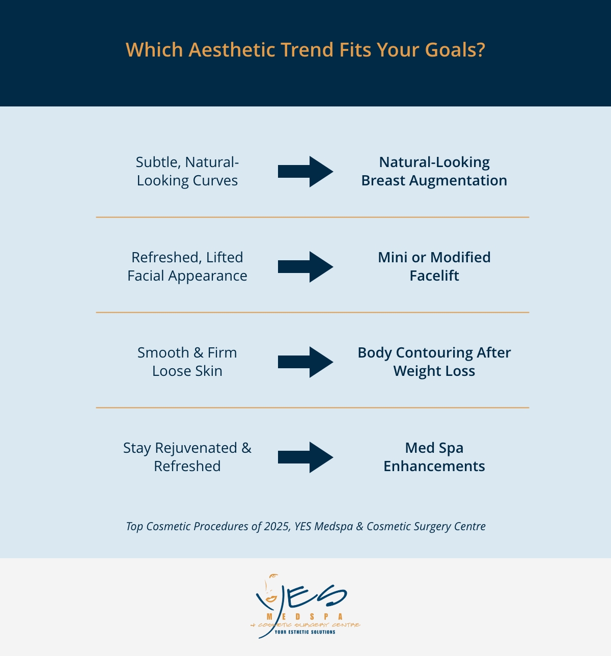 Infographic Which Aesthetic Trend Fits Your Goals